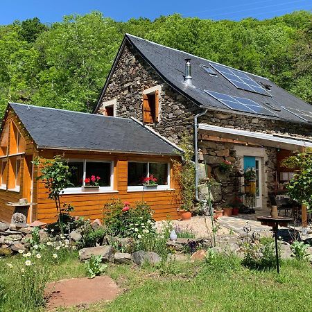 Chambres D'Hotes Le Lepadou-Bas Сен-Шелі-д'Обрак Екстер'єр фото
